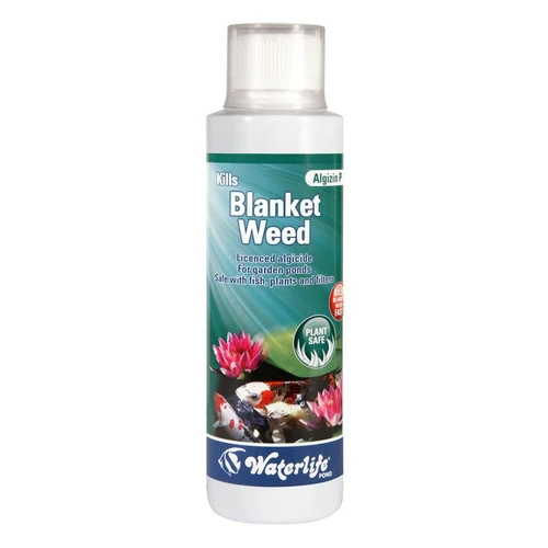 Waterlife 1000ml Algizin P Blanket Weed Treatment 3 Waterlife 1000ml Algizin P Blanket Weed Treatment