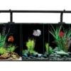 Aqua One Betta Trio Aquarium 2 Aqua One Betta Trio Aquarium -Serene Waters Aqua One betta trio 38165.1665572915