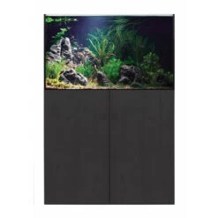 Aqua One Aquasys 230 With Black Ash Cabinet