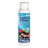 Waterlife 250ml Bacterlife P Ammonia And Sludge Control -Serene Waters Bacterlife P 51431.1636623269