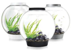 BiOrb CLASSIC 60 White - MCR LED -Serene Waters Biorb Classic 60 40408.1539700563