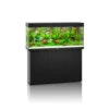 Juwel Rio 240 LED Aquarium And Cabinet Black -Serene Waters Juwel rio 240 aquarium and cabinet black 27861.1572004386