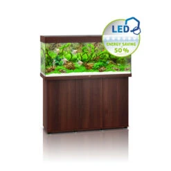 Juwel Rio 240 LED Aquarium And Cabinet Dark Wood 11 Juwel Rio 240 LED Aquarium And Cabinet Dark Wood -Serene Waters Juwel rio 240 tank and stand dark wood 16038.1572005051