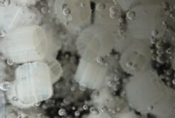 Evolution Aqua K1 Micro Media 50 Litres -Serene Waters K1 Micro Media 86147.1537197488.1280.1280 97998.1537265574