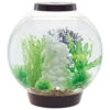 BiOrb CLASSIC 30 Black - MCR LED -Serene Waters MCR BLACK 30 36645.1603725859