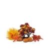 BiOrb Decor Set 15L Autumn -Serene Waters OASE biOrb Decor pack 15L Autumn 11826.1666794638