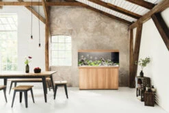 Juwel Rio 450 LED Aquarium And Cabinet Light Wood 10 Juwel Rio 450 LED Aquarium And Cabinet Light Wood -Serene Waters Rio 450 Light Wood in situ 11147.1573042314