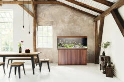 Juwel Rio 450 LED Aquarium And Cabinet Dark Wood 10 Juwel Rio 450 LED Aquarium And Cabinet Dark Wood -Serene Waters Rio 450 dark wood in situ 32451.1573041981