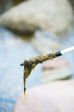 Heissner Telescopic Algae Brush 57cm - 140cm