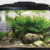 Aqua One AquaVue 480 Aquarium 1 Aqua One AquaVue 480 Aquarium -Serene Waters aquavue 480 aqua one 75085.1665577846
