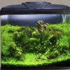 Aqua One AquaVue 580 Aquarium -Serene Waters aquavue 580 aqua one 40604.1665578701