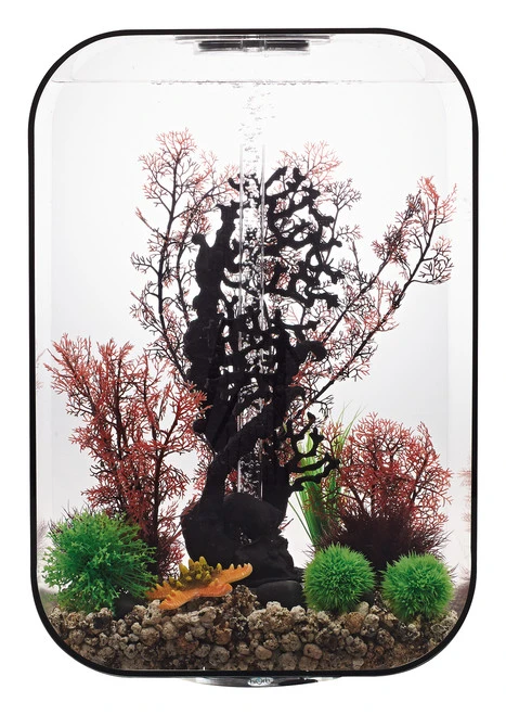 BiOrb LIFE 60 Black - MCR LED 4 BiOrb LIFE 60 Black - MCR LED - Image 2