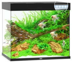 Juwel Lido 200 LED Aquarium And Cabinet Black -Serene Waters lido 200 black LED 33715.1572003952