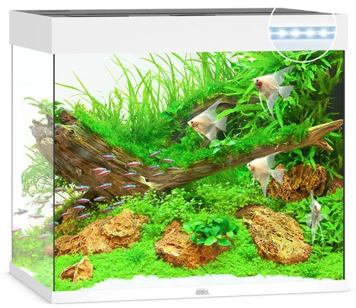 Juwel Lido 200 LED Aquarium And Cabinet White 7 Juwel Lido 200 LED Aquarium And Cabinet White - Image 5