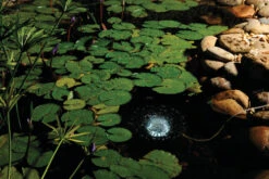 Pontec Oase Pondtec PondoAir Set 1200 Air Pump & Light -Serene Waters pondair set 1200 35550.1636888225