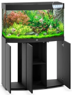 Juwel Vision 180 LED Aquarium And Cabinet Black -Serene Waters vision 180 black open 61992.1572009755